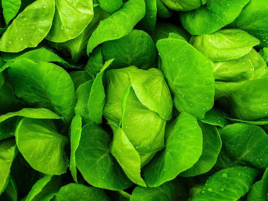 The Ultimate Guide to Getting Rid Of Pesticides from Your Fruits and Vegetables
