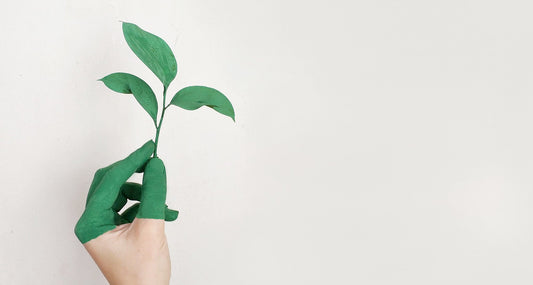 Best Ways to Use Eco-Friendly Cleaning Products at Your Home
