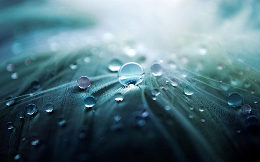 How I Overcame My Virus Germophobia by Cleaning with Sound Waves