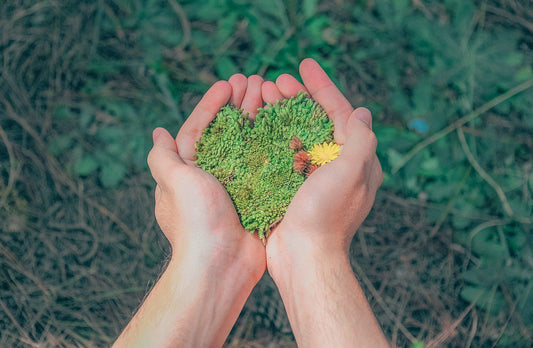 The Best Natural and Eco-Friendly Cleaning Product to Use In 2019